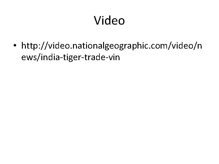 Video • http: //video. nationalgeographic. com/video/n ews/india-tiger-trade-vin 