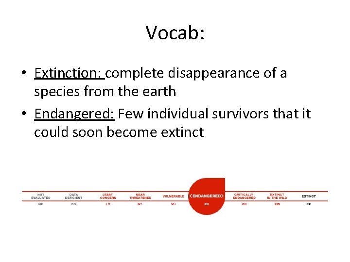 Vocab: • Extinction: complete disappearance of a species from the earth • Endangered: Few