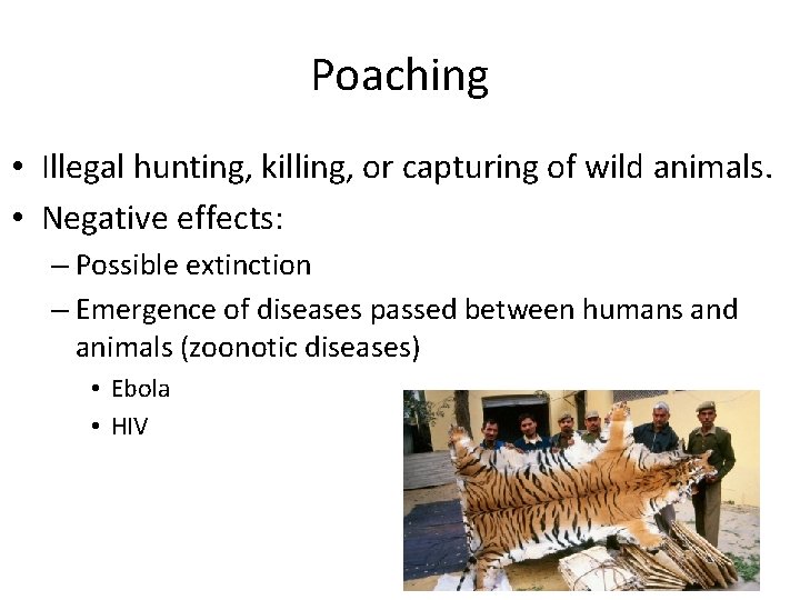 Poaching • Illegal hunting, killing, or capturing of wild animals. • Negative effects: –