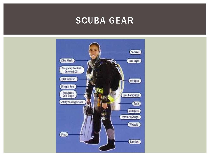 SCUBA GEAR 