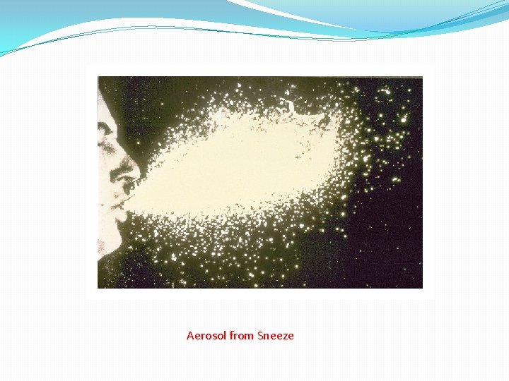 Aerosol from Sneeze 