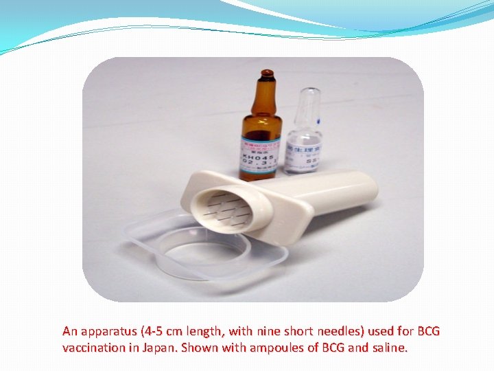An apparatus (4 -5 cm length, with nine short needles) used for BCG vaccination
