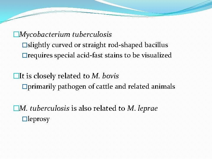 �Mycobacterium tuberculosis �slightly curved or straight rod-shaped bacillus �requires special acid-fast stains to be