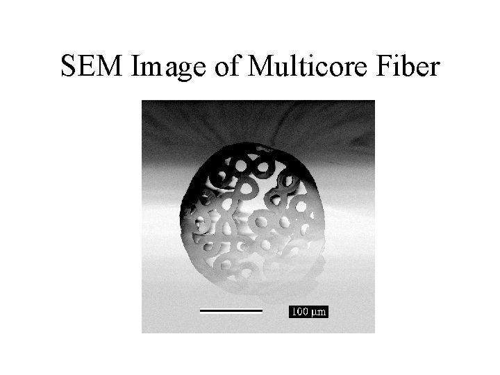 SEM Image of Multicore Fiber 