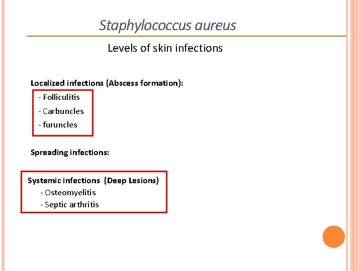 Staphylococcus aureus Levels of skin infections Localized infections (Abscess formation): - Folliculitis - Carbuncles