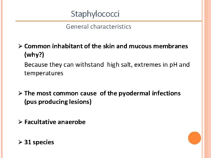 Staphylococci General Characteristics General characteristics Ø Common inhabitant of the skin and mucous membranes
