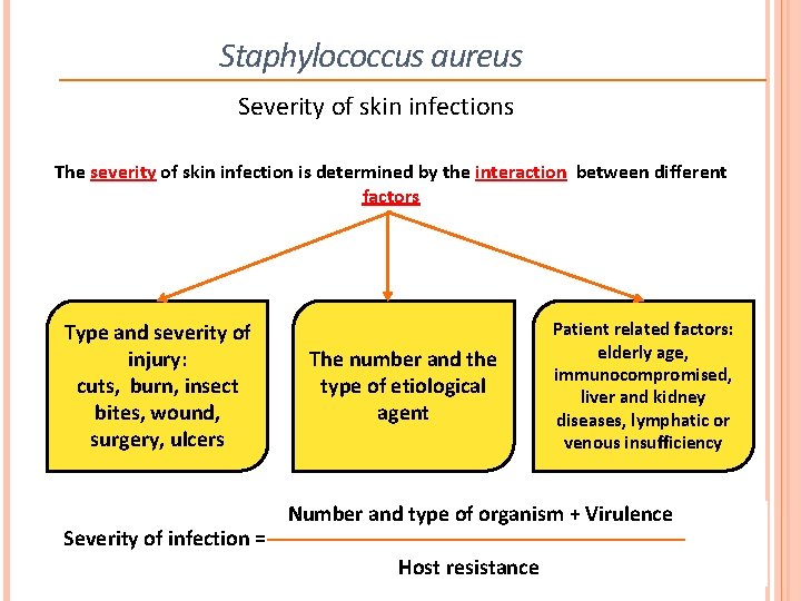 Staphylococcus aureus Severity of skin infections The severity of skin infection is determined by