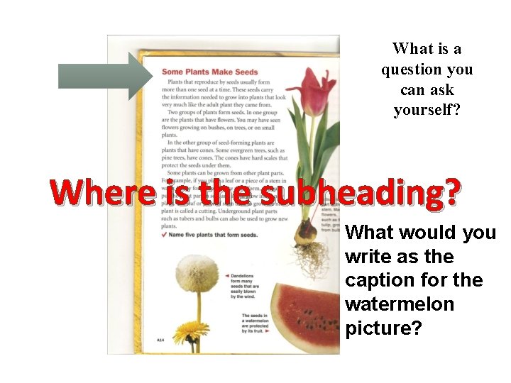 What is a question you can ask yourself? Where is the subheading? What would