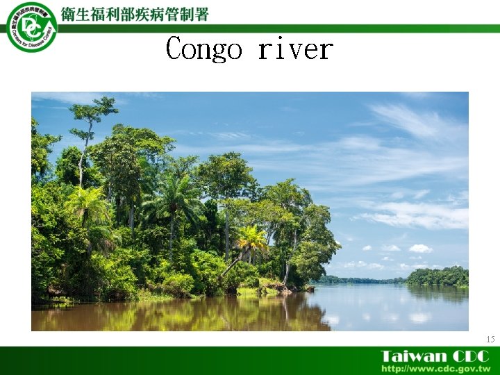 Congo river 15 
