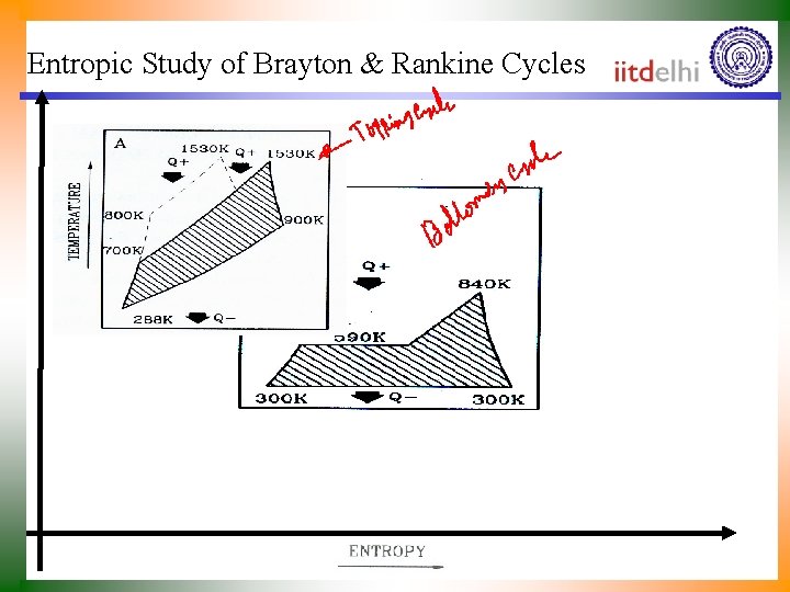 Entropic Study of Brayton & Rankine Cycles 