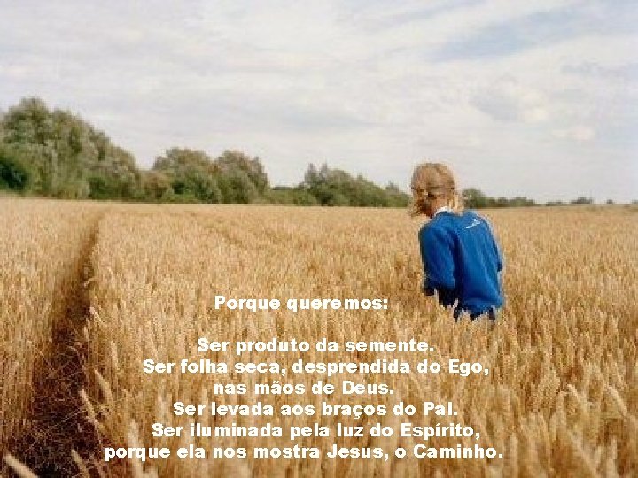 Porque queremos: Ser produto da semente. Ser folha seca, desprendida do Ego, nas mãos