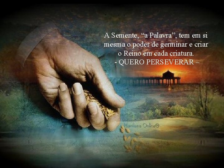 A Semente, “a Palavra”, tem em si mesma o poder de germinar e criar