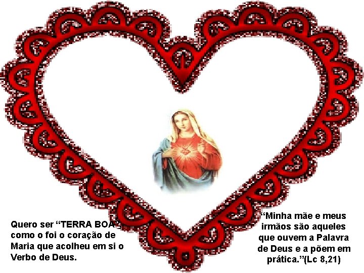 Quero ser “TERRA BOA”, como o foi o coração de Maria que acolheu em