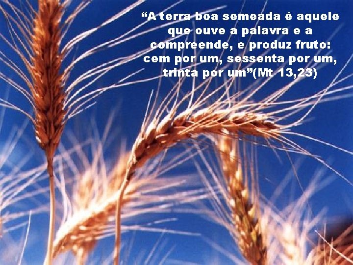 “A terra boa semeada é aquele que ouve a palavra e a compreende, e