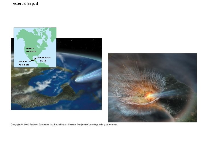 Asteroid Impact NORTH AMERICA Yucatán Peninsula Chicxulub crater 