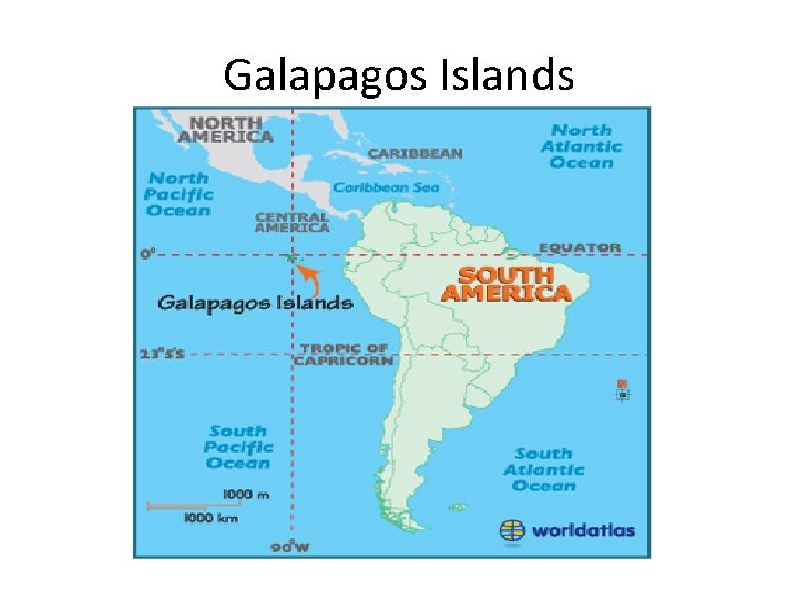 Galapagos Islands 