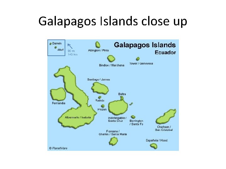 Galapagos Islands close up 