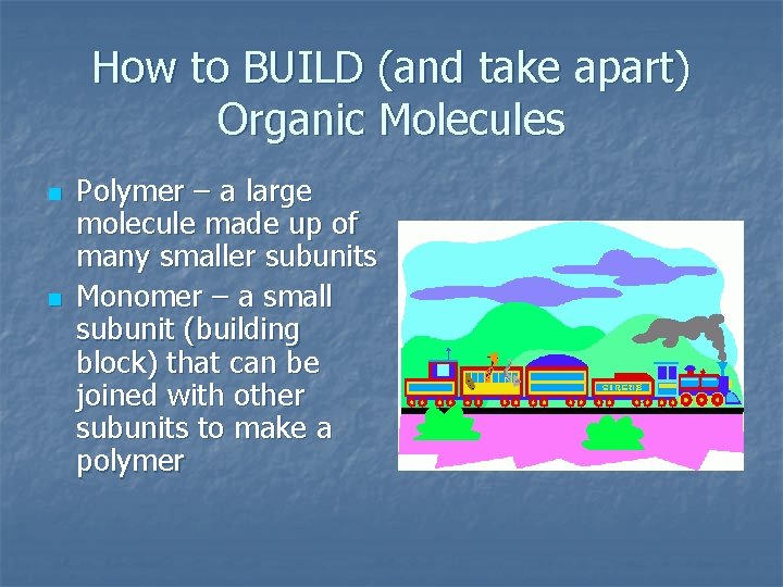 How to BUILD (and take apart) Organic Molecules n n Polymer – a large