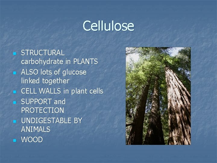 Cellulose n n n STRUCTURAL carbohydrate in PLANTS ALSO lots of glucose linked together