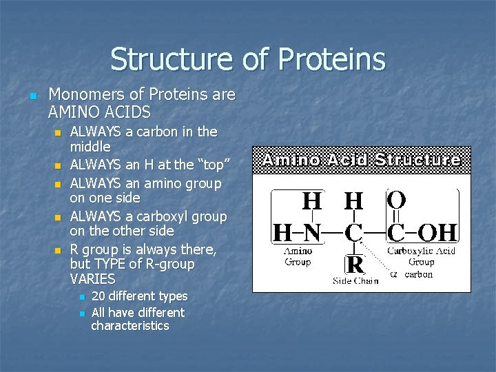 Structure of Proteins n Monomers of Proteins are AMINO ACIDS n n n ALWAYS
