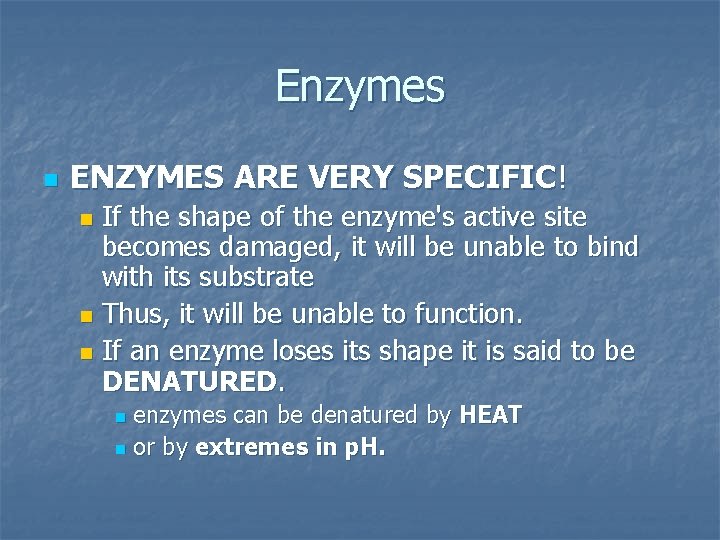 Enzymes n ENZYMES ARE VERY SPECIFIC! If the shape of the enzyme's active site