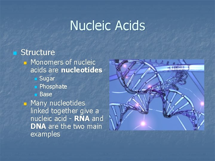Nucleic Acids n Structure n Monomers of nucleic acids are nucleotides n n Sugar