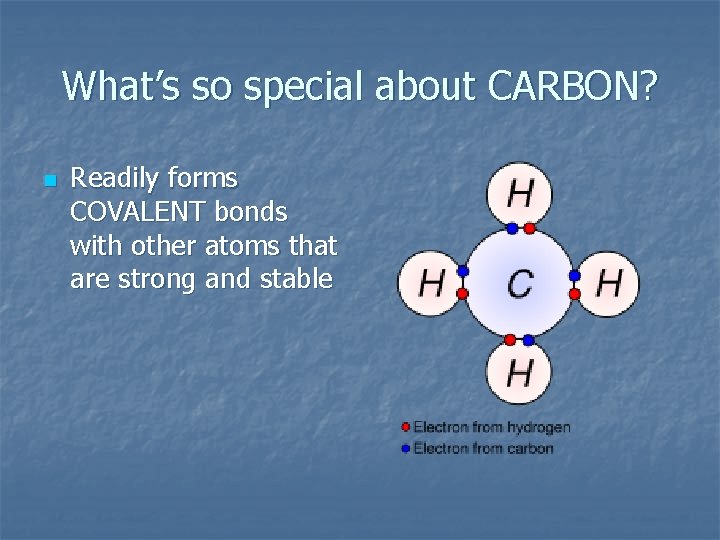 What’s so special about CARBON? n Readily forms COVALENT bonds with other atoms that