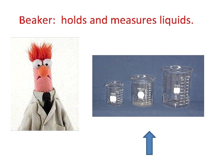 Beaker: holds and measures liquids. 