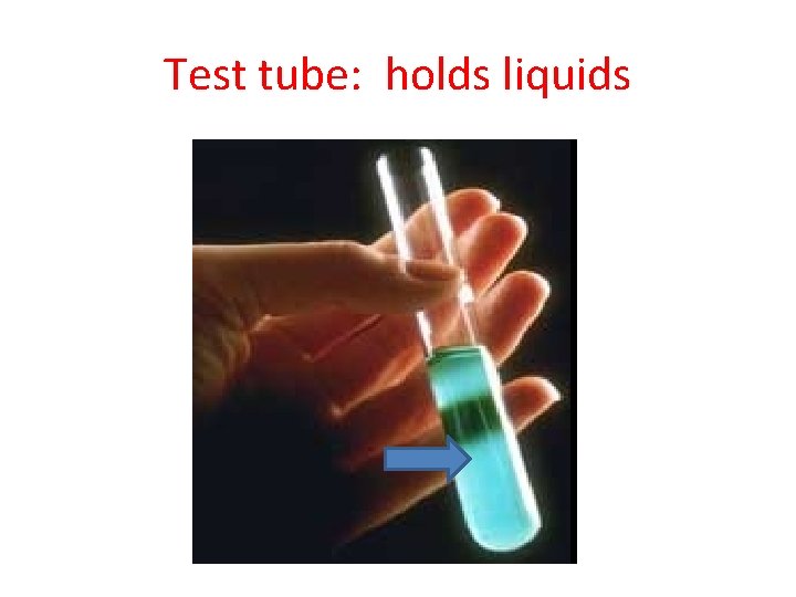 Test tube: holds liquids 
