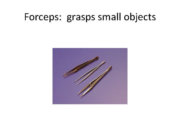 Forceps: grasps small objects 