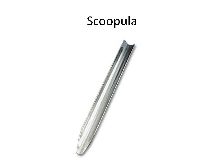 Scoopula 
