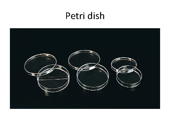 Petri dish 