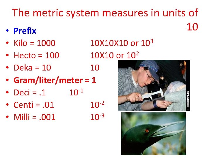 The metric system measures in units of 10 • Prefix • • Kilo =