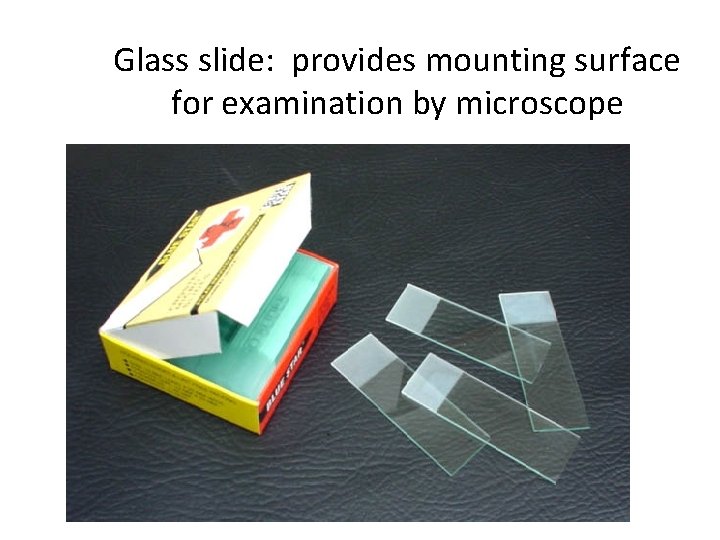 Glass slide: provides mounting surface for examination by microscope 