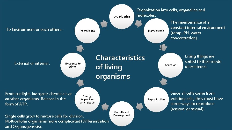 Organization To Environment or each others. External or internal. Organization into cells, organelles and