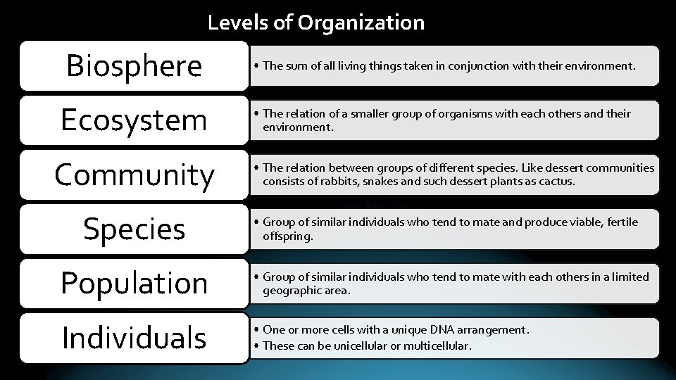 Levels of Organization Biosphere • The sum of all living things taken in conjunction