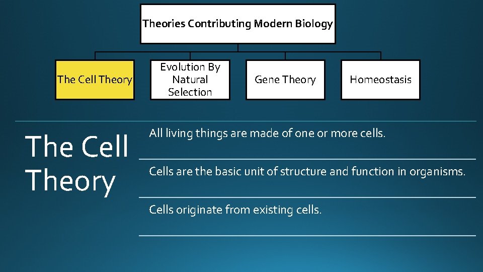 Theories Contributing Modern Biology The Cell Theory Evolution By Natural Selection Gene Theory Homeostasis