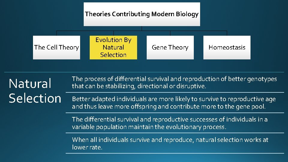 Theories Contributing Modern Biology The Cell Theory Natural Selection Evolution By Natural Selection Gene