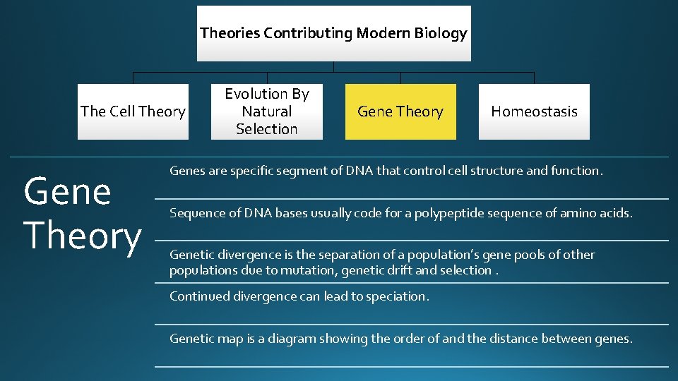 Theories Contributing Modern Biology The Cell Theory Gene Theory Evolution By Natural Selection Gene