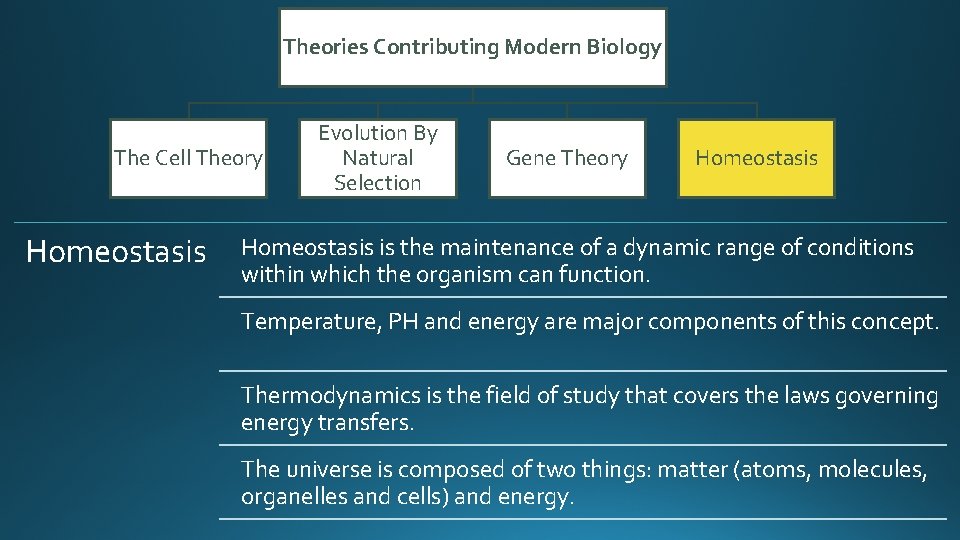 Theories Contributing Modern Biology The Cell Theory Homeostasis Evolution By Natural Selection Gene Theory