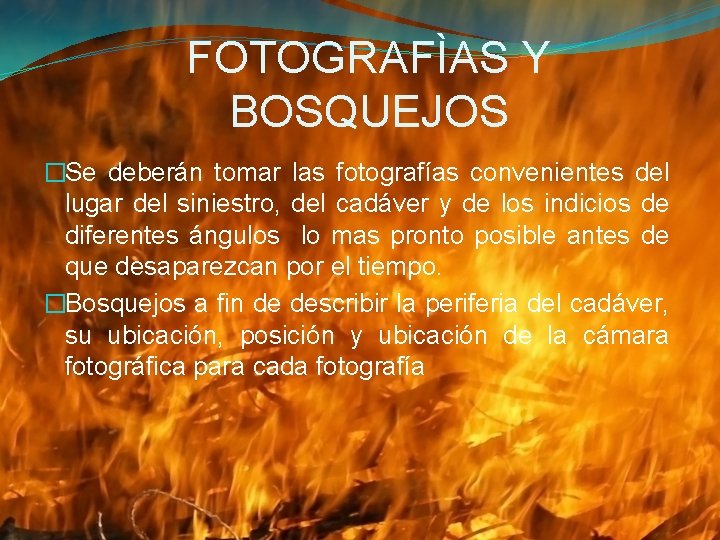 FOTOGRAFÌAS Y BOSQUEJOS �Se deberán tomar las fotografías convenientes del lugar del siniestro, del