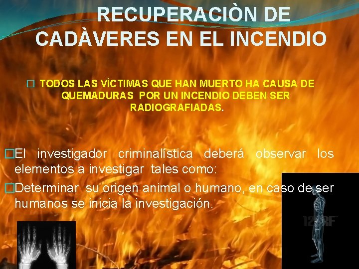 RECUPERACIÒN DE CADÀVERES EN EL INCENDIO � TODOS LAS VÌCTIMAS QUE HAN MUERTO HA