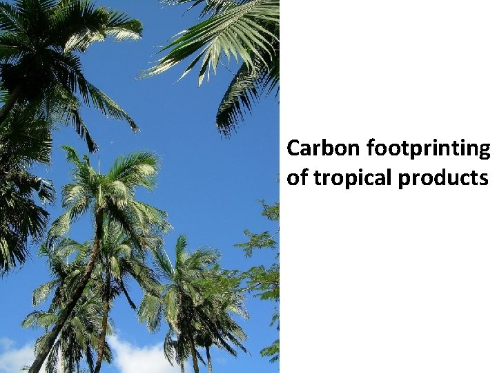 Carbon footprinting of tropical products 