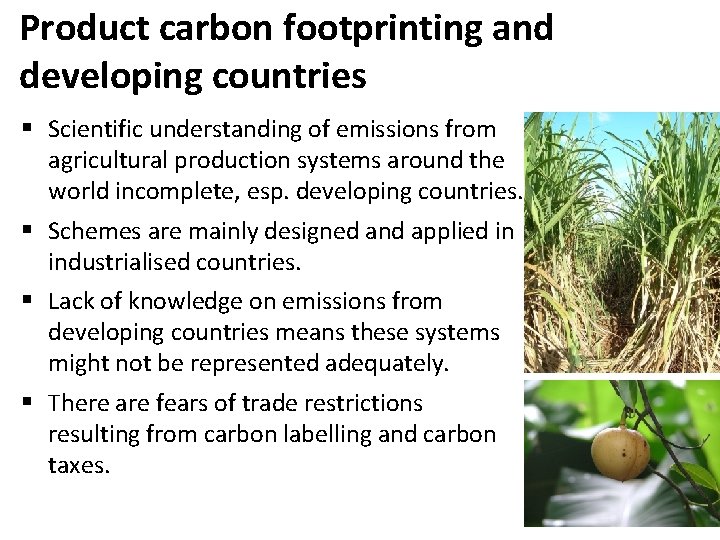 Product carbon footprinting and developing countries § Scientific understanding of emissions from agricultural production