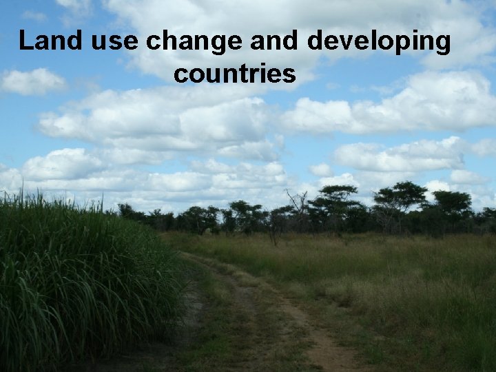 Land use change and developing countries 
