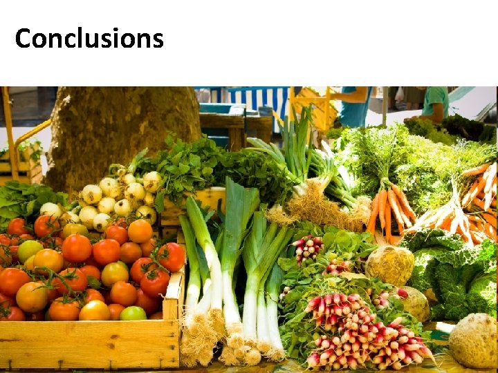 Conclusions 