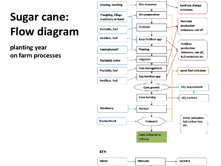 Sugar cane: Flow diagram planting year on farm processes 