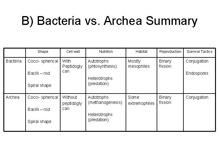 B) Bacteria vs. Archea Summary Bacteria Shape Cell wall Cocci- spherical With Peptidogly can
