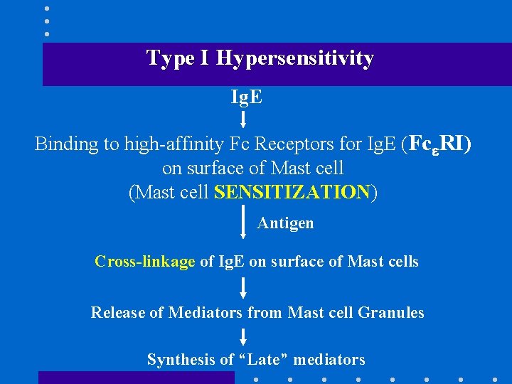 Type I Hypersensitivity Ig. E Binding to high-affinity Fc Receptors for Ig. E (Fc