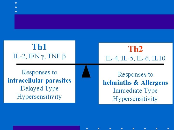 Th 1 Th 2 IL-2, IFN , TNF IL-4, IL-5, IL-6, IL 10 Responses